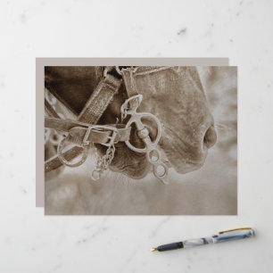 Papier Cheval Western Vintage Sepia Rustique Découpage