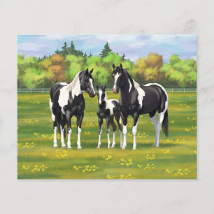 Papier Chevaux De Peinture De Pinto Noir En Pâturage Été
