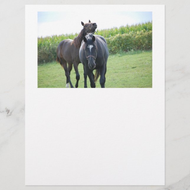 Papier Chevaux en amour (Devant)