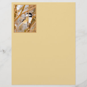 Papier Chickadee au plafond noir - Photo originale