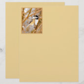 Papier Chickadee au plafond noir - Photo originale (Devant / Derrière)