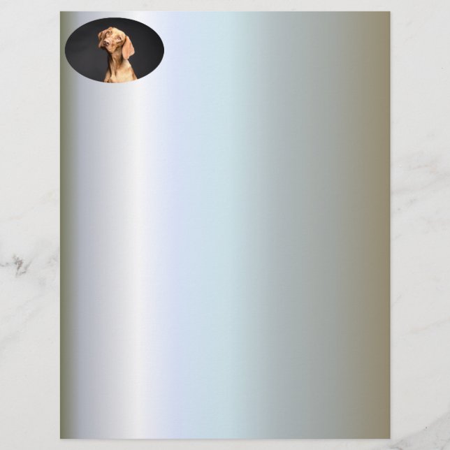 Papier Chien Beagle Brown animal (Devant)