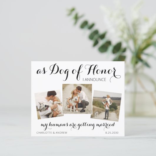Papier Chien D'Honneur Mariage Enregistrer La Date QR Cod (Debout devant)