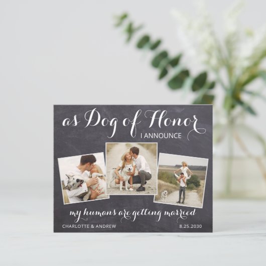Papier Chien D'Honneur Rustique Mariage Budget Enregistre (Debout devant)
