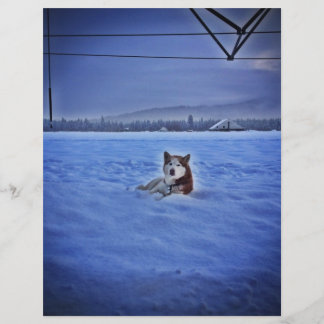 Papier chien mignon dans la neige
