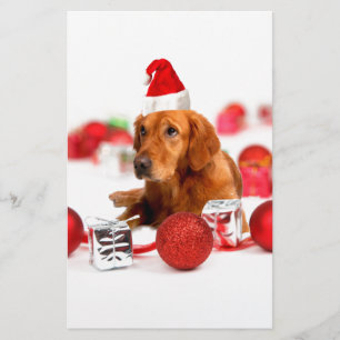 Papier Chien Retriever Doré Avec Chapeau De Père Noël Rou