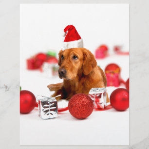 Papier Chien Retriever doré avec chapeau de Père Noël rou