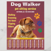 Papier Chien Walker Soins dignes de confiance Animaux de (Devant)