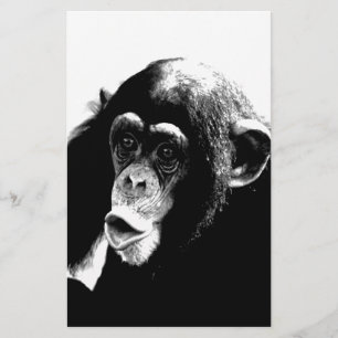 Papier Chimpanzé noir blanc