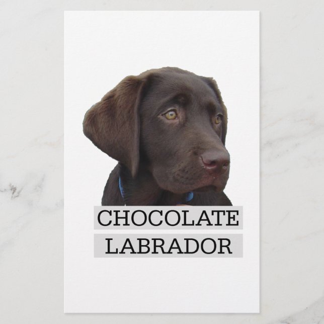 Papier Chocolat Labrador Design unique! (Devant)