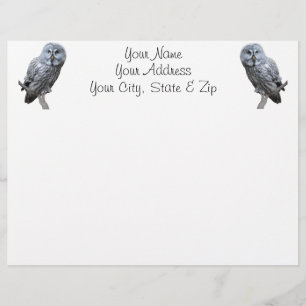 Papier Chouette grise