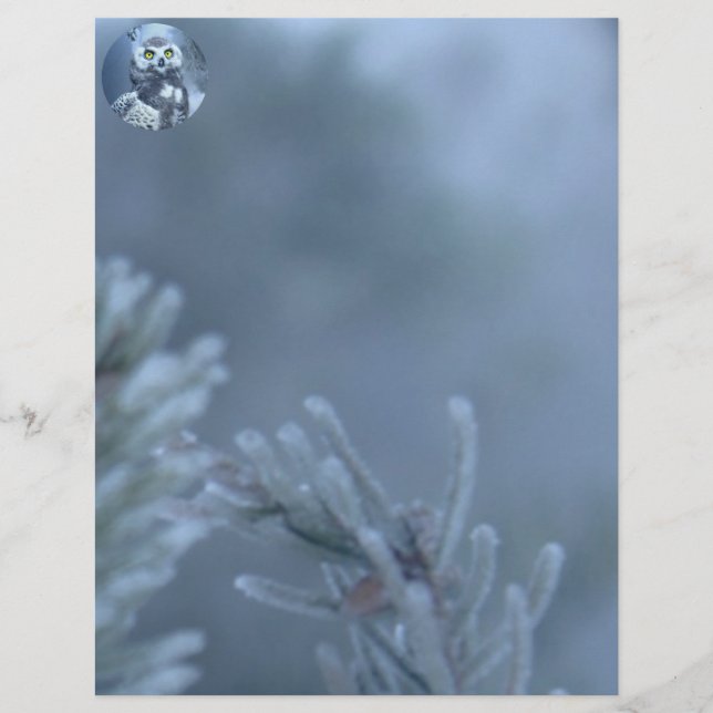Papier Chouette neigeuse en hiver (Devant)
