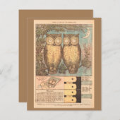 Papier Chouette vintage chou mignonne automne artisanal p (Devant / Derrière)