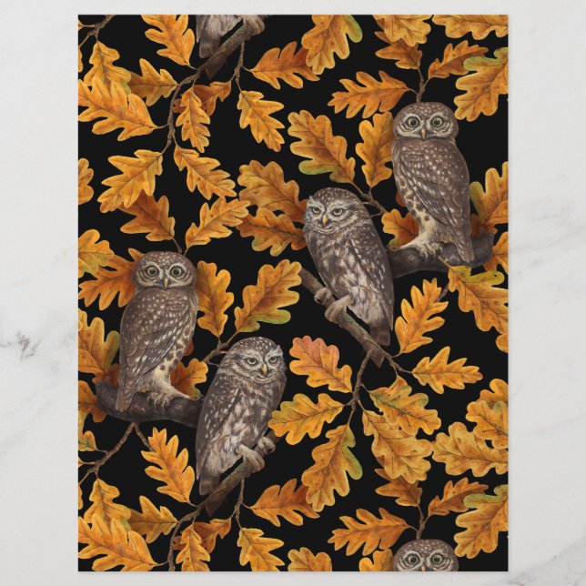 Papier Chouettes d'automne sur noir (Devant)