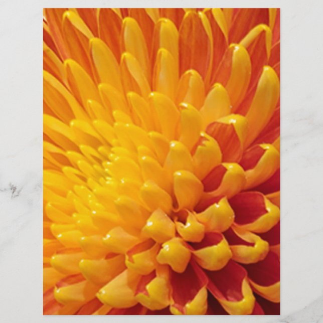 Papier Chrysanthème jaune et orange (Devant)