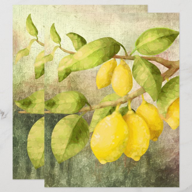 Papier Citrons sur une branche (Devant / Derrière)