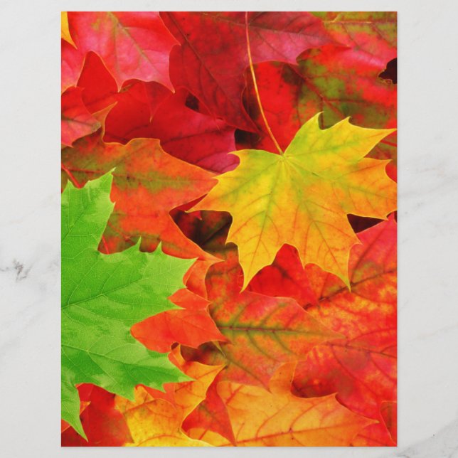 Papier Classic Colored Autumn Fall Leaf Print (Devant)