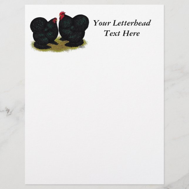 Papier Cochins Black Bantam Paire (Devant)