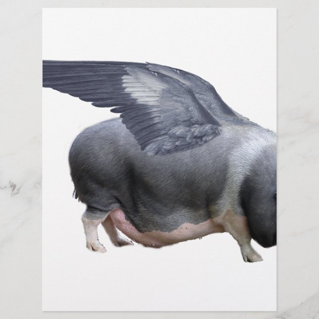 Papier cochon volant (Devant)