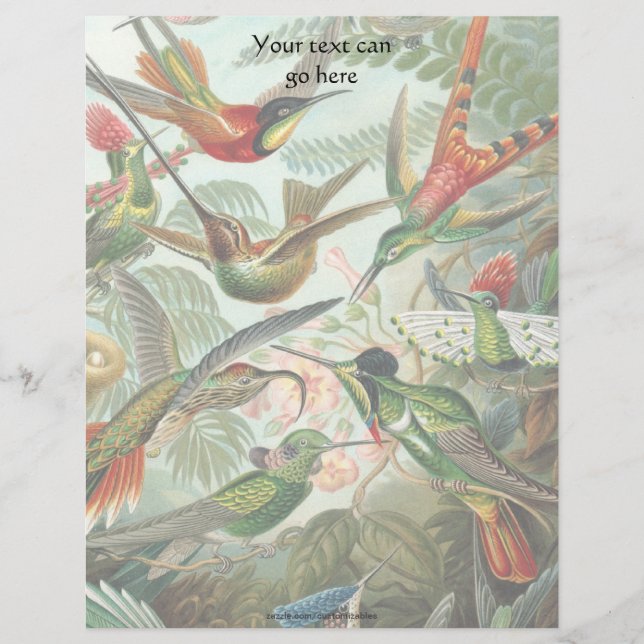 Papier Colibri vintage (Devant)