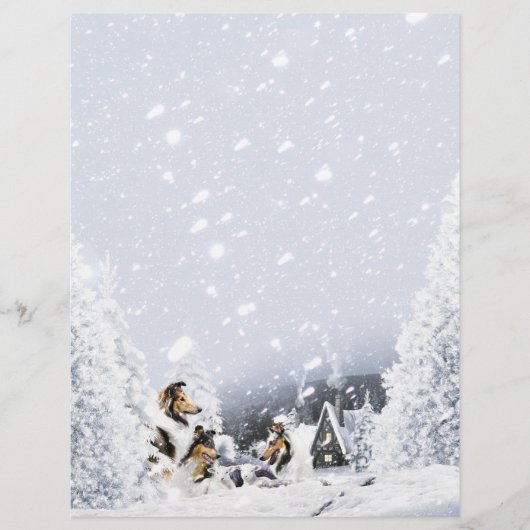 Papier Collies et agneau rugueux, Contes de Noël - Statio (Devant)