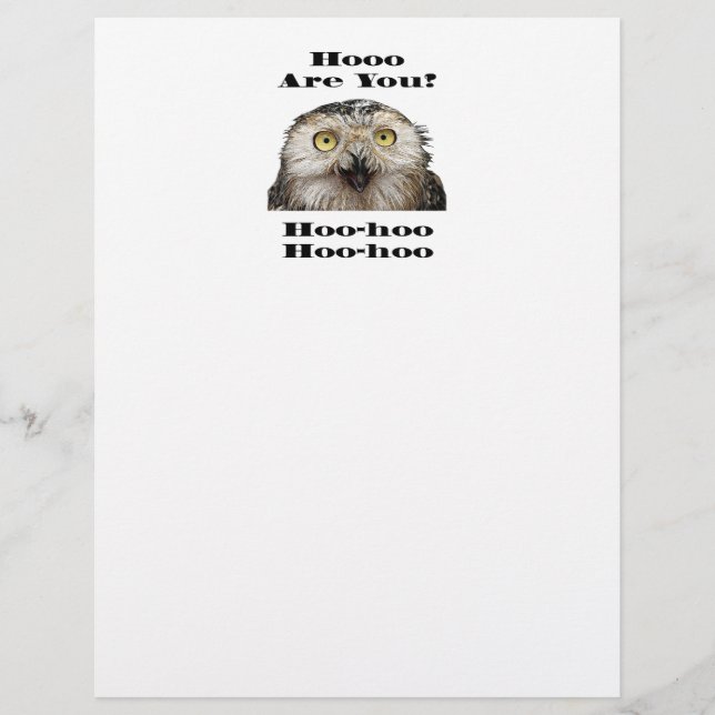 Papier Comment Es-Tu ? Owl Qui Êtes-Vous ? (Devant)