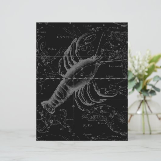Papier Constellation du Cancer Hevelius 1690 sur fond noi (Debout devant)