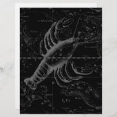 Papier Constellation du Cancer Hevelius 1690 sur fond noi (Devant / Derrière)