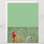 Papier Coqs ferme animale poulet coloré (Devant / Derrière)