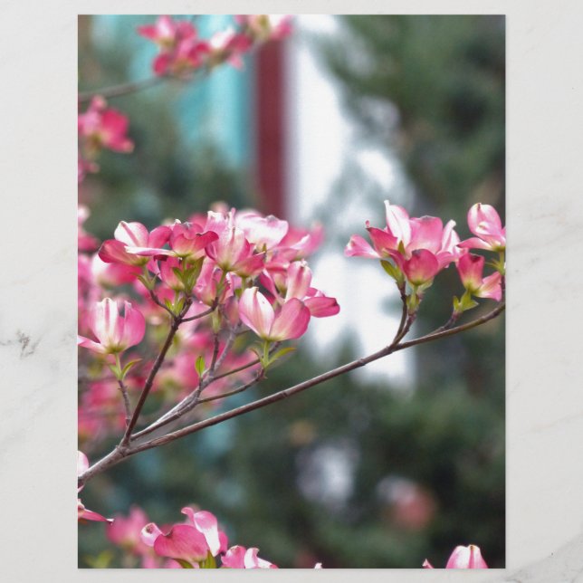 Papier Cornouiller rose (Devant)