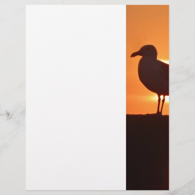 Papier Coucher de soleil de Seagull (Devant)