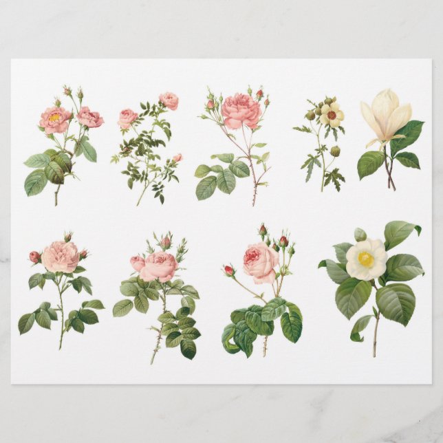 Papier Coupes de moussons Roses botaniques avec Script su (Devant)