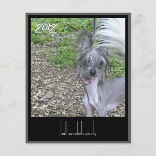 Papier couverture frontale du calendrier 2012 (Devant)