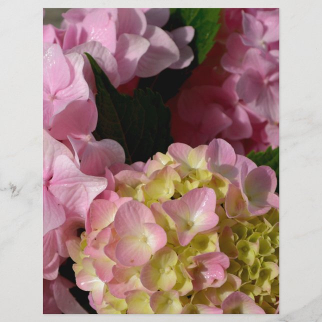 Papier Crème rose Hydrangeas jaune rose vert floral (Devant)