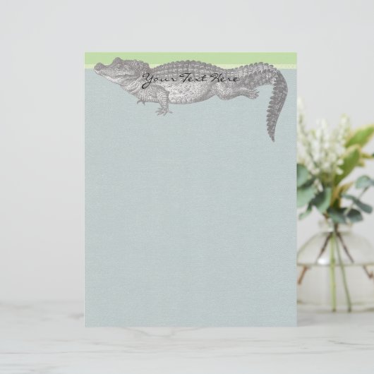Papier Crocodile vintage (Debout devant)