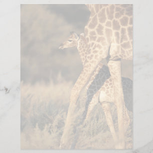 Papier Cutest Baby Animals   Baby Giraffe & Parent