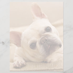 Papier Cutest Baby Animals French Bulldog Head Tilt