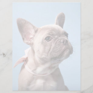 Papier Cutest Baby Animals French Bulldog Pink Bow