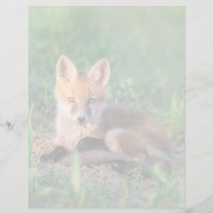 Papier Cutest Baby Animals Red Fox Kit Relaxing