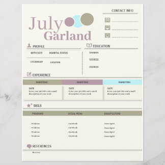 Papier CV moderne - Reprendre entièrement personnalisable