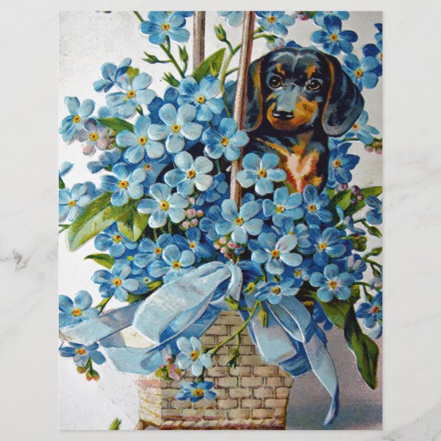 Papier Dachshund et Forget-Me-Nots (Devant)