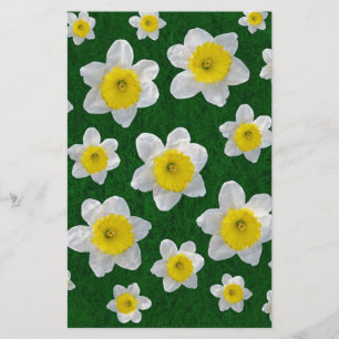 Papier Daffodiques de printemps
