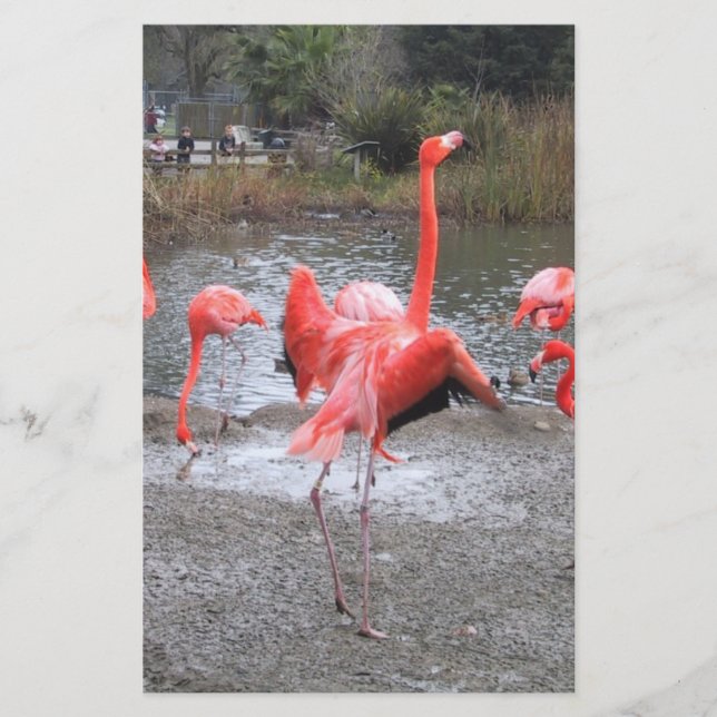 Papier danse flamande (Devant)