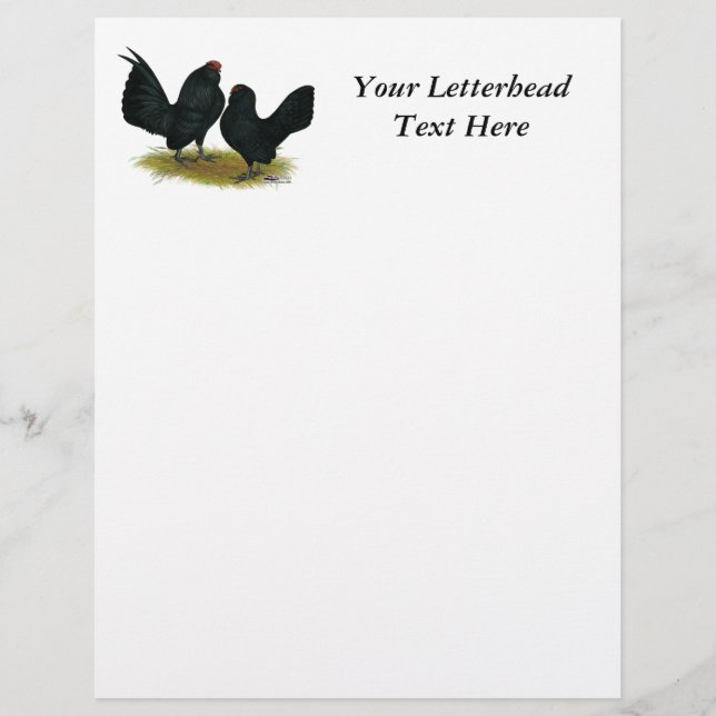 Papier D'Anvers Black Bantams (Devant)