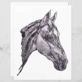 Papier de beauté équine (Devant / Derrière)