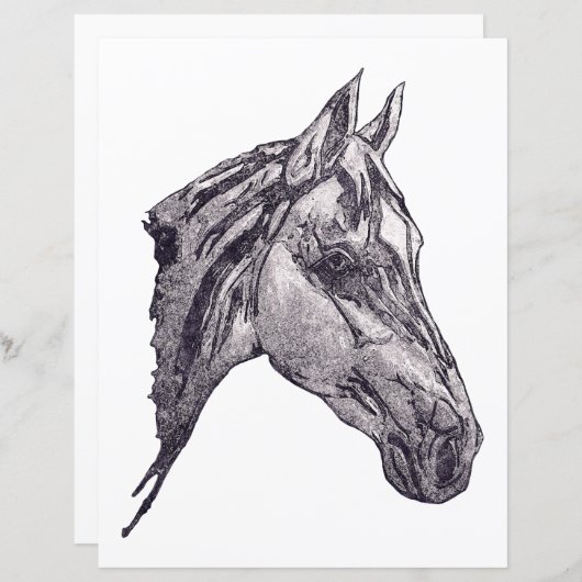 Papier de beauté équine (Devant / Derrière)