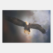 Papier de découpage de l'aigle à tête blanche (Devant)