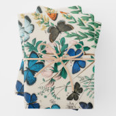 Papier de découpage papillon vintage Botanique (En situation)