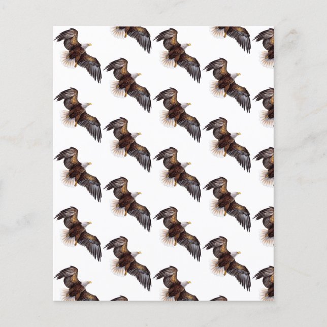 papier de fond de scrapbook aigles (Devant)