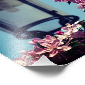 Papier de l'affiche de la valeur de la photo de pr (Coin)